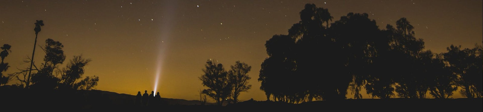 Fitorch - Markenshop