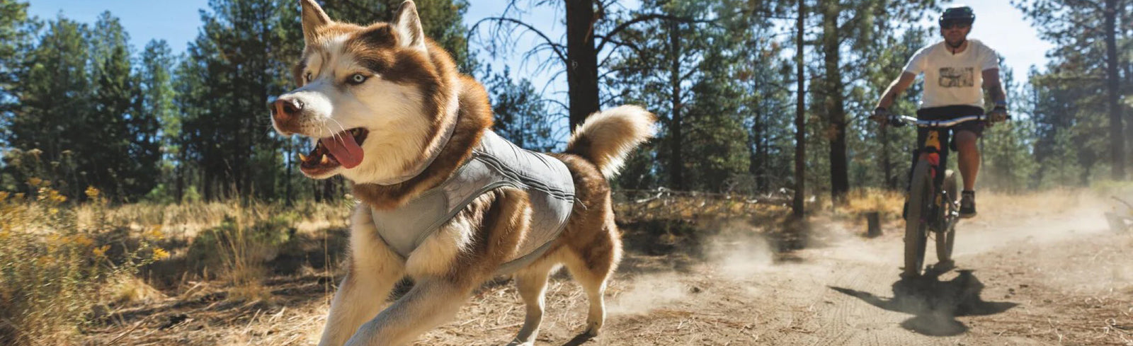 Ruffwear - Markenshop