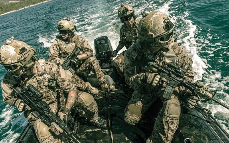 Wiley X Schutzbrille NERVE