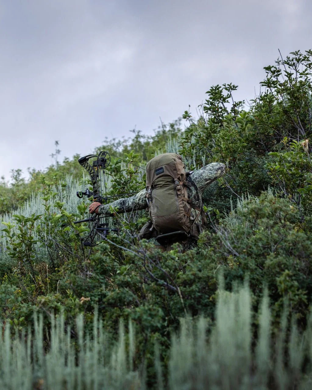 Eberlestock Vapor 2500 V2 - Vert militaire