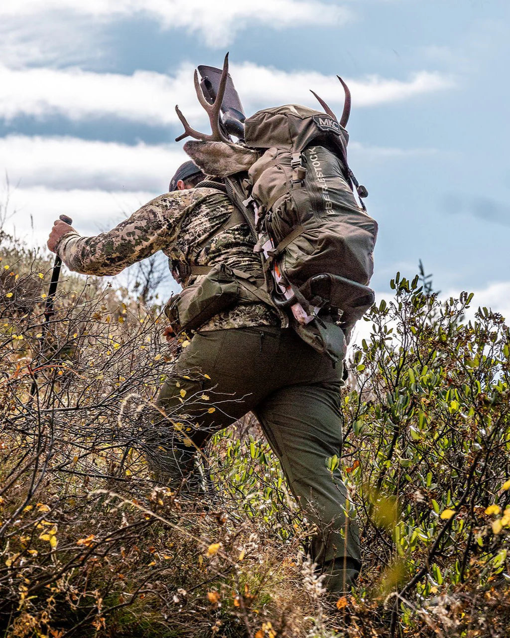 Eberlestock Mainframe - Vert militaire