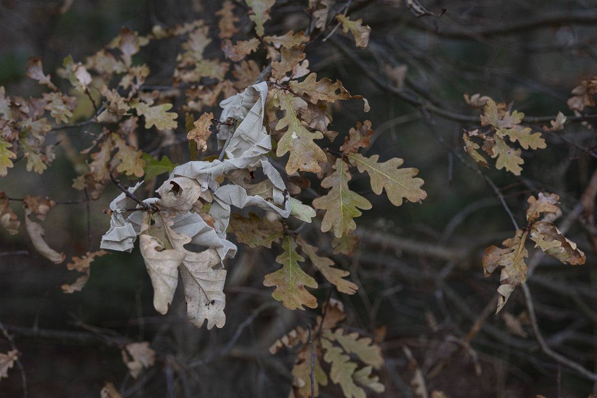 Ghosthood Strip-Solid