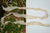 Ghosthood Strip-Solid