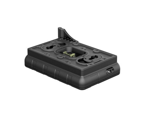 Pulsar IPS Ladegerät