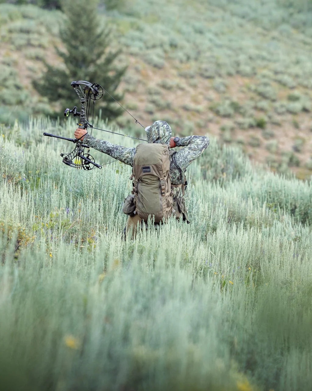 Eberlestock Vapor 2500 V2 - Vert militaire