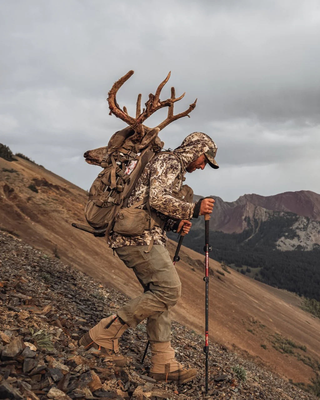 Eberlestock Mainframe Tall - Vert militaire