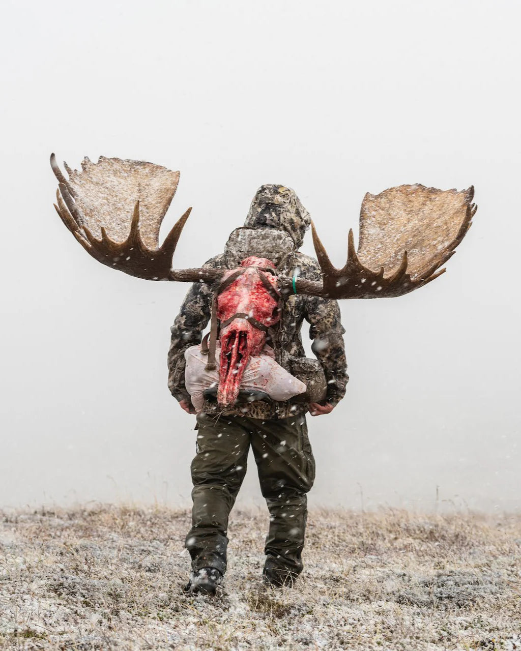 Eberlestock Mainframe Tall - Vert militaire