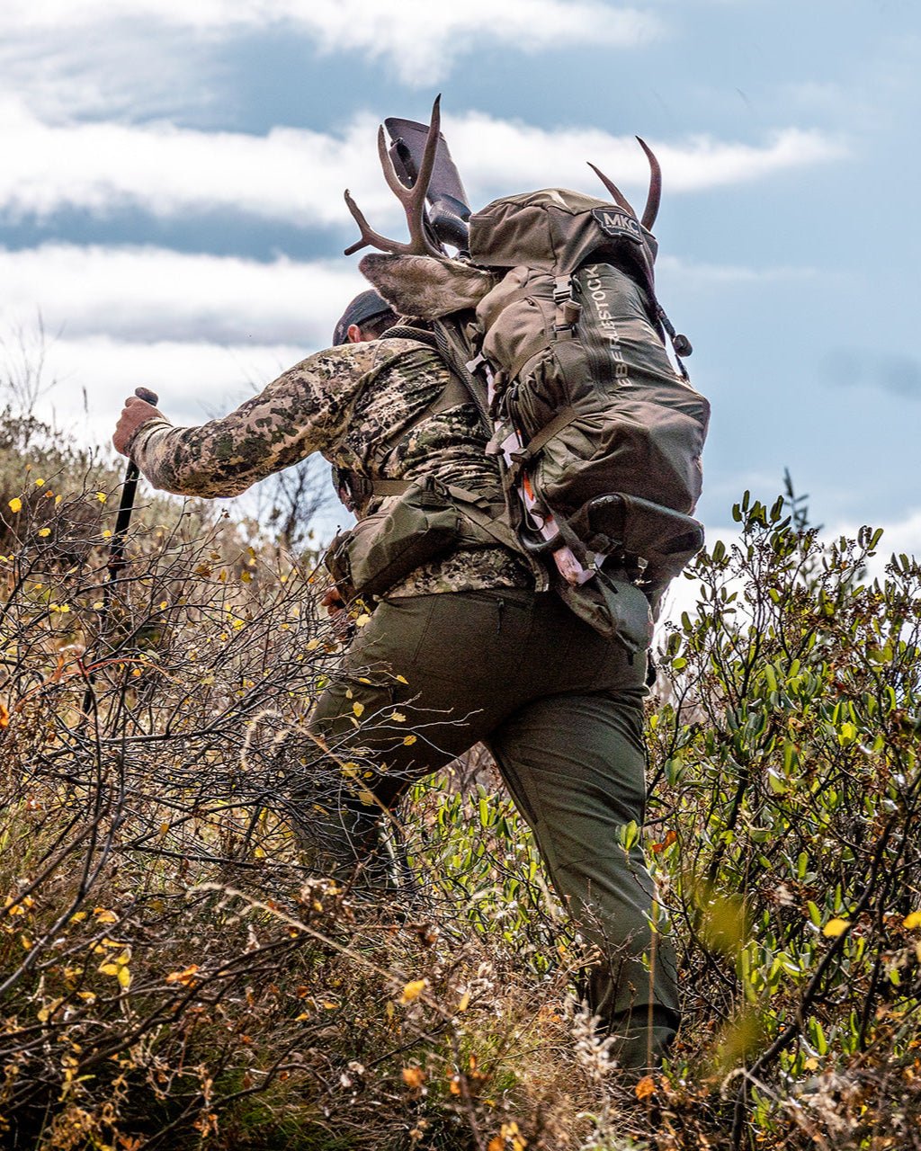 Eberlestock Vapor 5000 V2 - Vert militaire