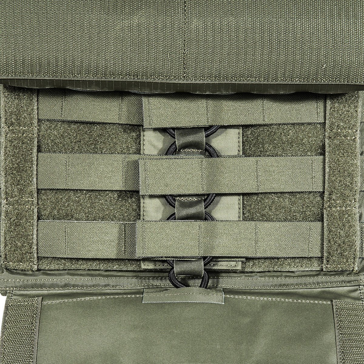Tasmanian Tiger Plate Carrier QR LC