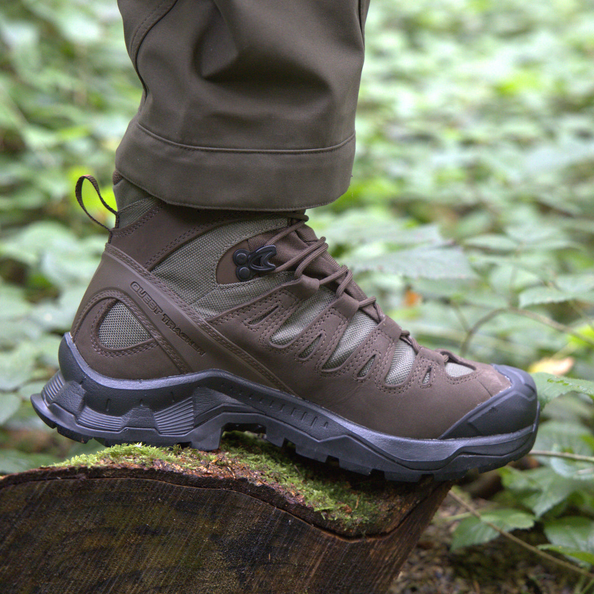 Salomon QUEST TRACKER GTX - Earth Brown / Green