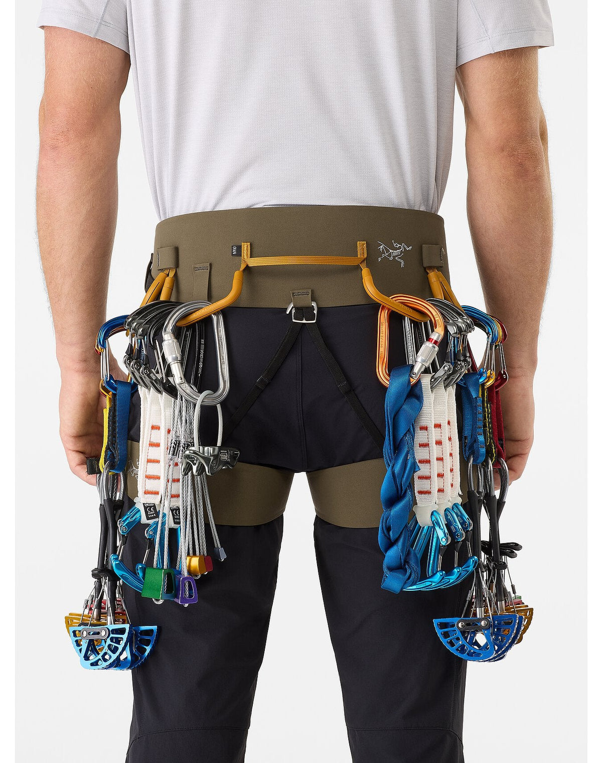 Arc&#39;teryx AR-395a Harness