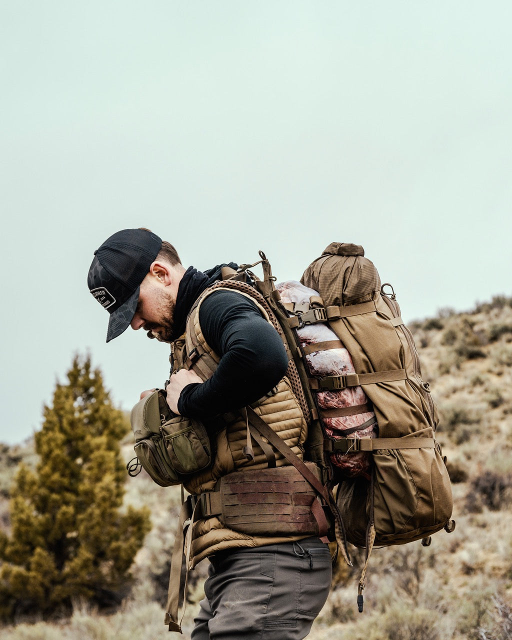 Eberlestock Modframe - Vert militaire