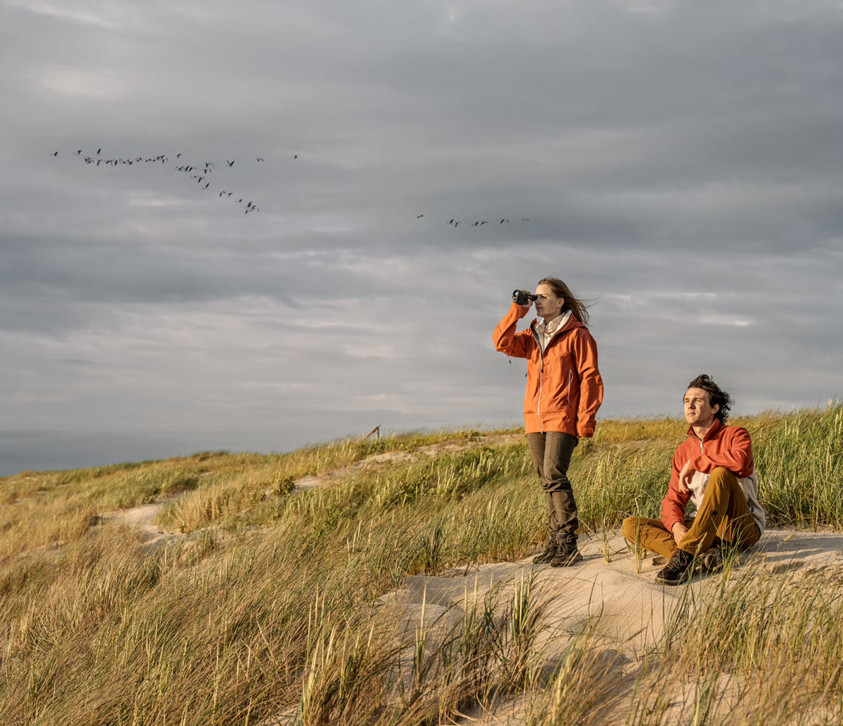 Pulsar WLO Wärmebildgerät Orni XG35