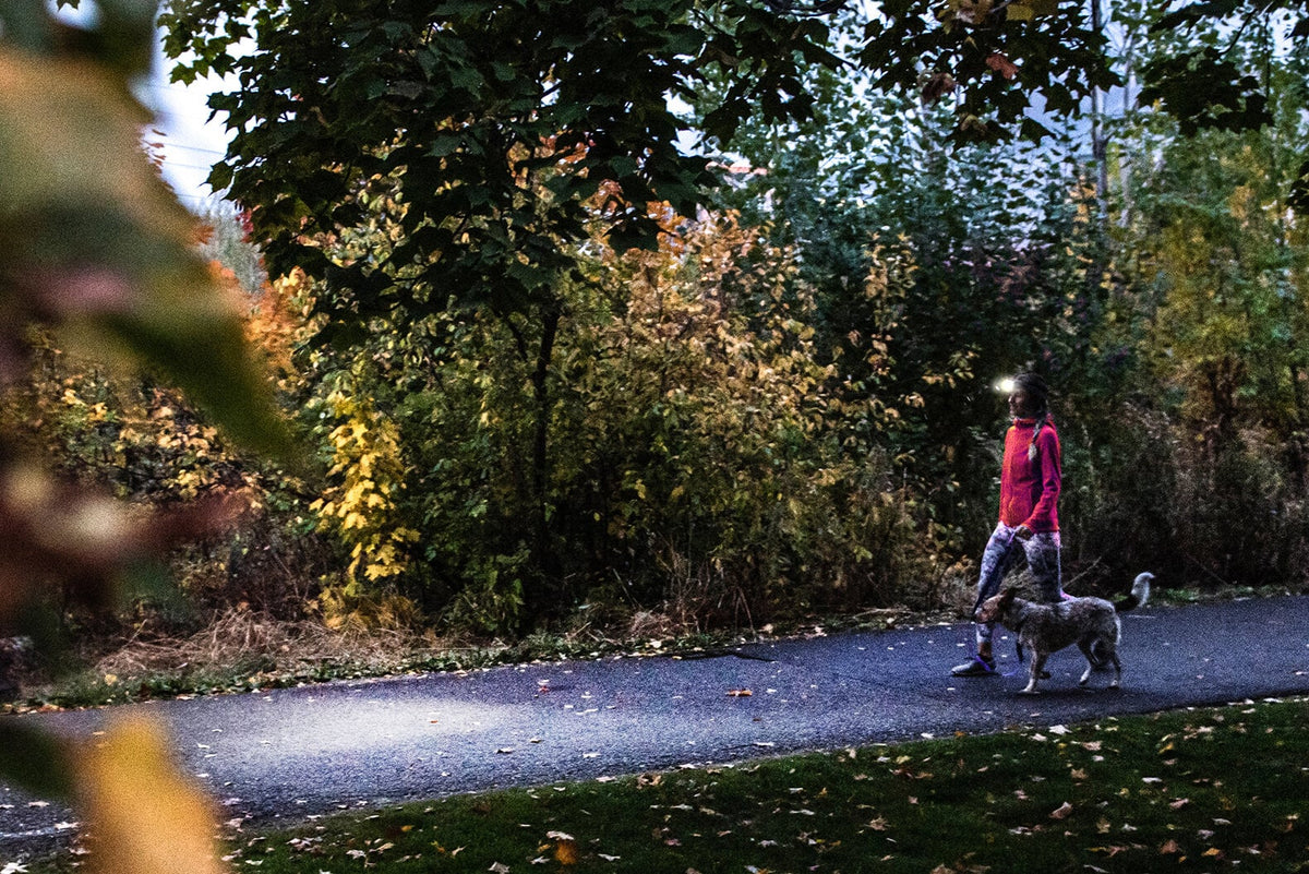 Ledlenser Stirnlampe HF4R Core