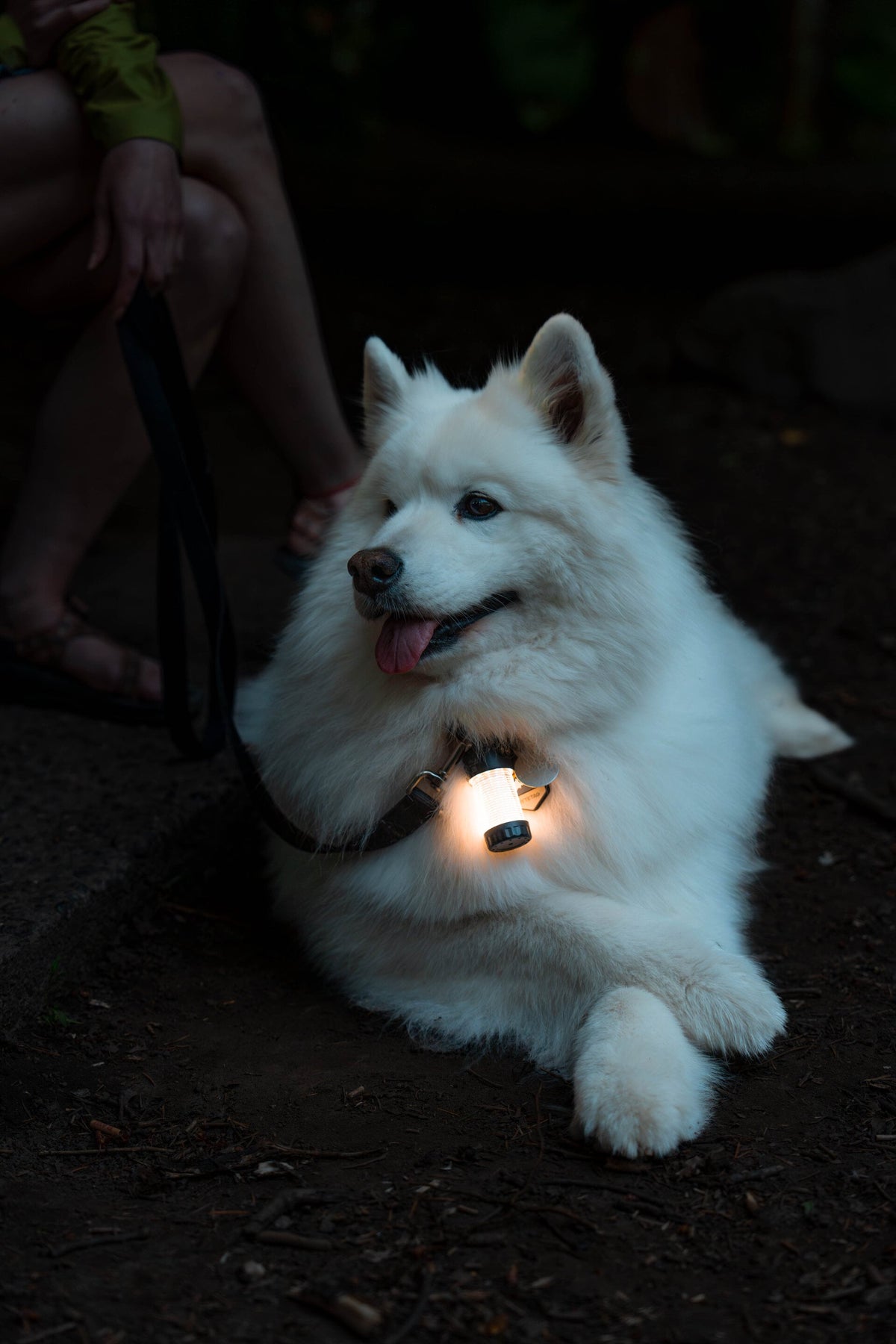 Ledlenser ML4 WL Outdoor Camping Lampe