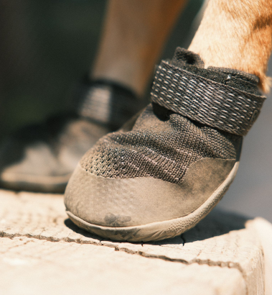 Ruffwear Hundeschuhe Ridgeline