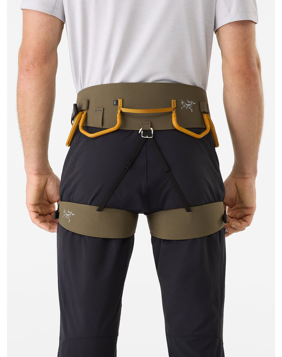 Arc&#39;teryx AR-395a Harness