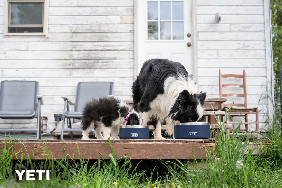 YETI® Gamelle pour chien Boomer™ 4 Navy