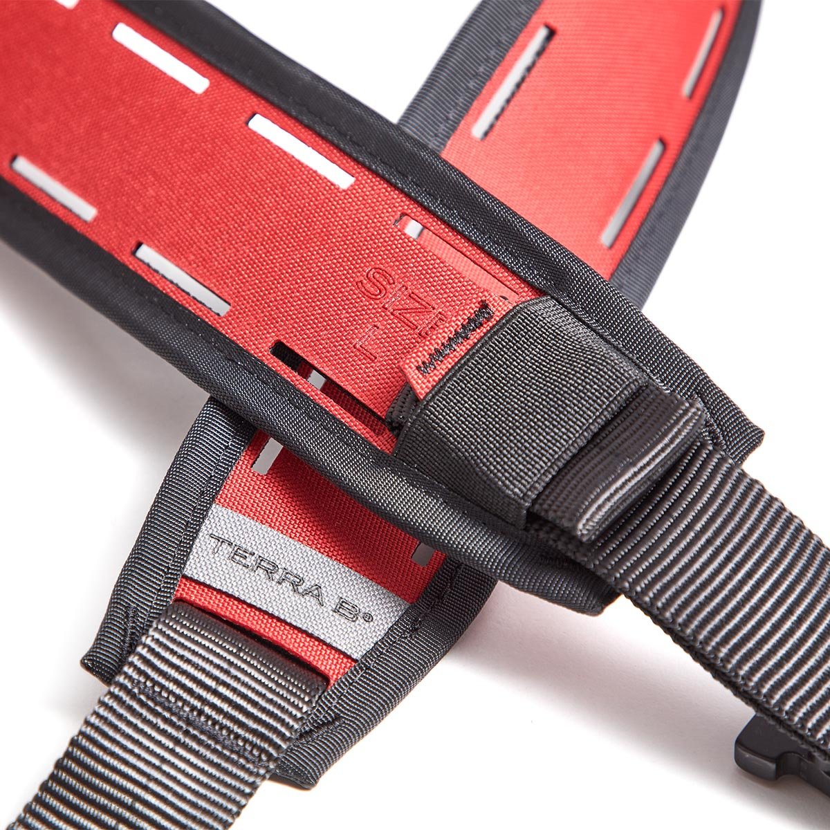 TERRA B Skeleton Belt - Red