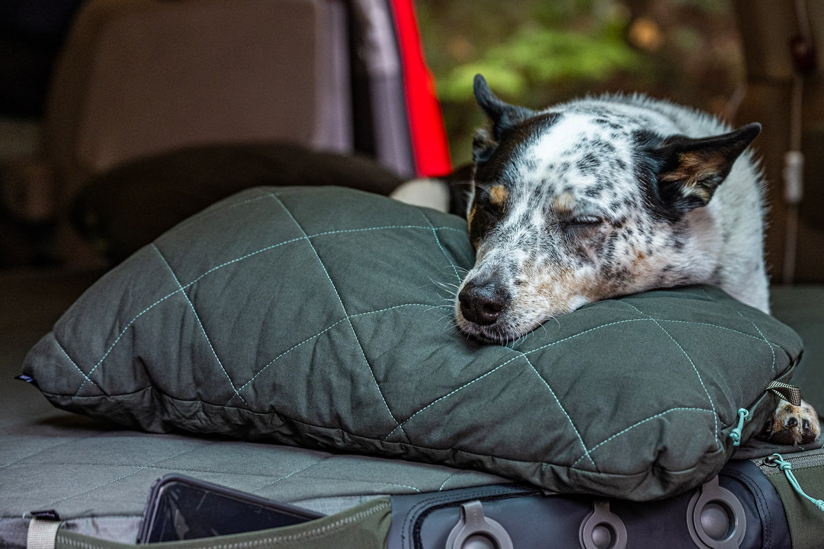 Exped Kissen LuxeWool Pillow
