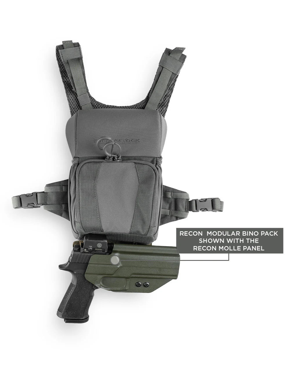 Panneau Eberlestock Recon Molle - Gris
