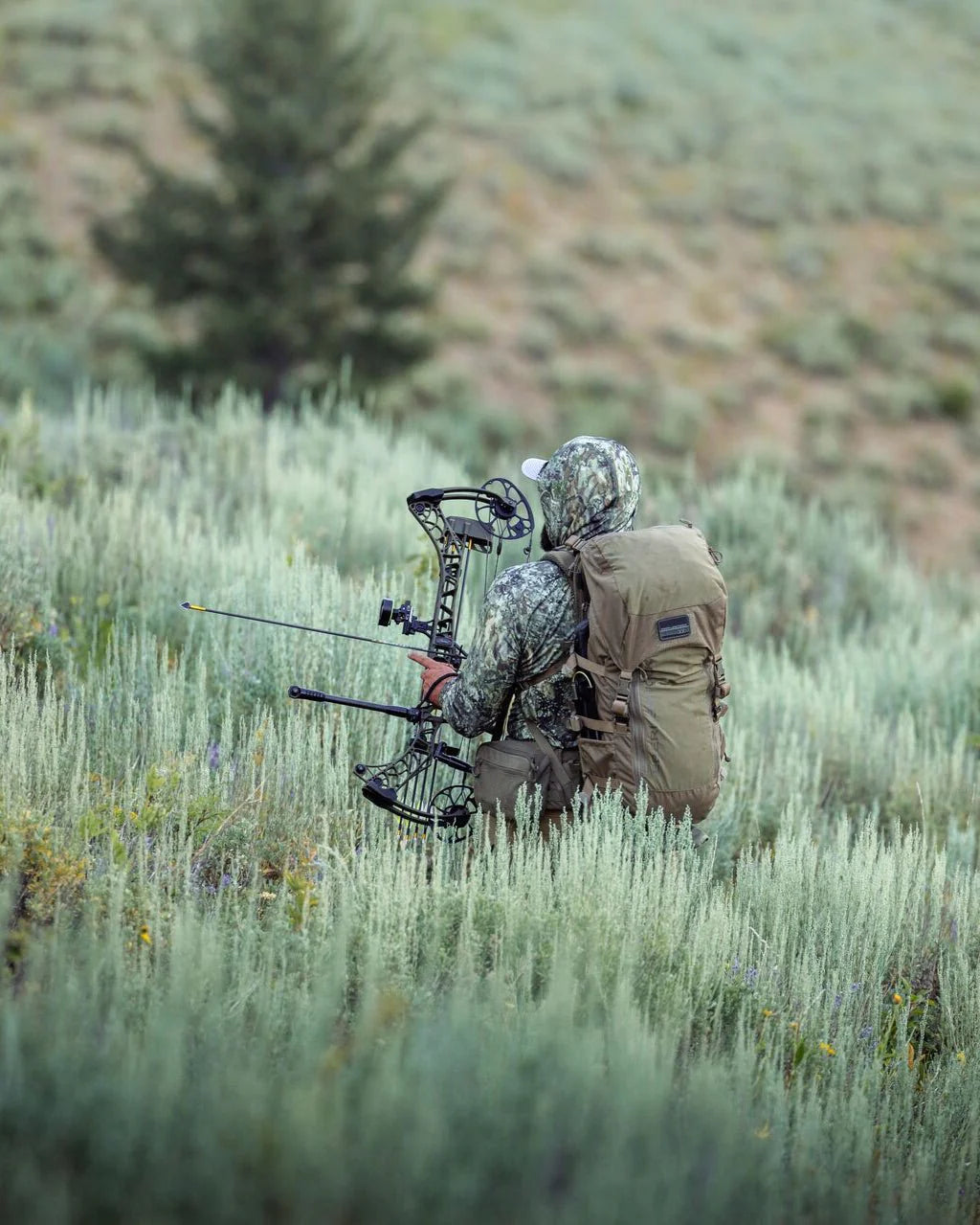 Eberlestock Vapor 2500 V2 - Terre sèche