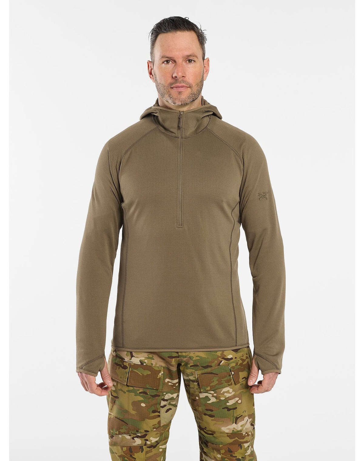 Arc&#39;teryx Delta AR Half Zip Hoody - Crocodile