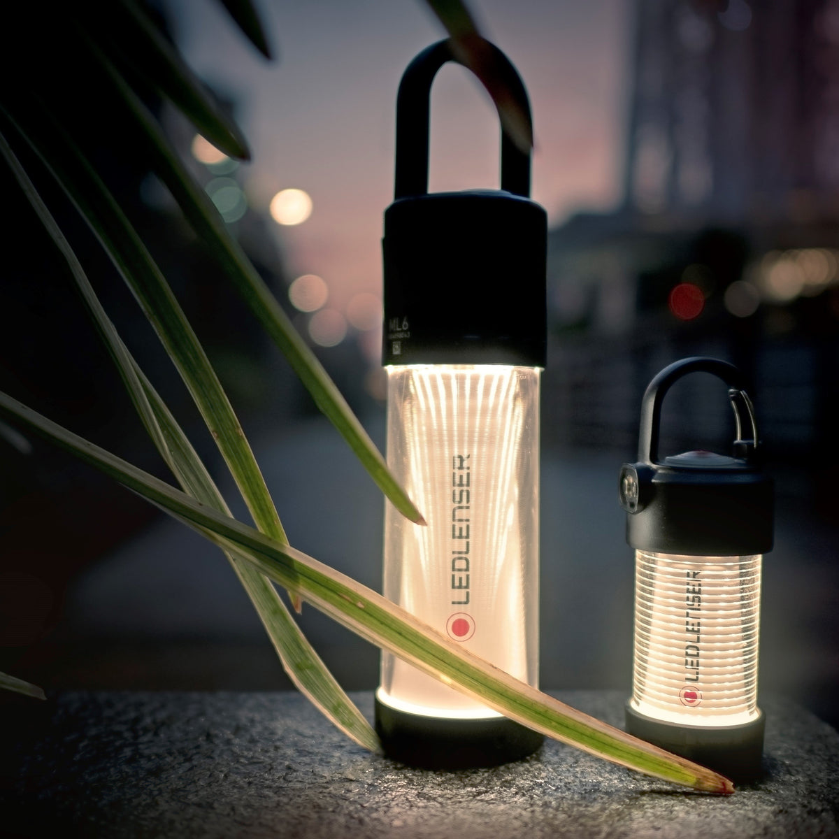 Ledlenser Campinglampe ML6 Connect WL