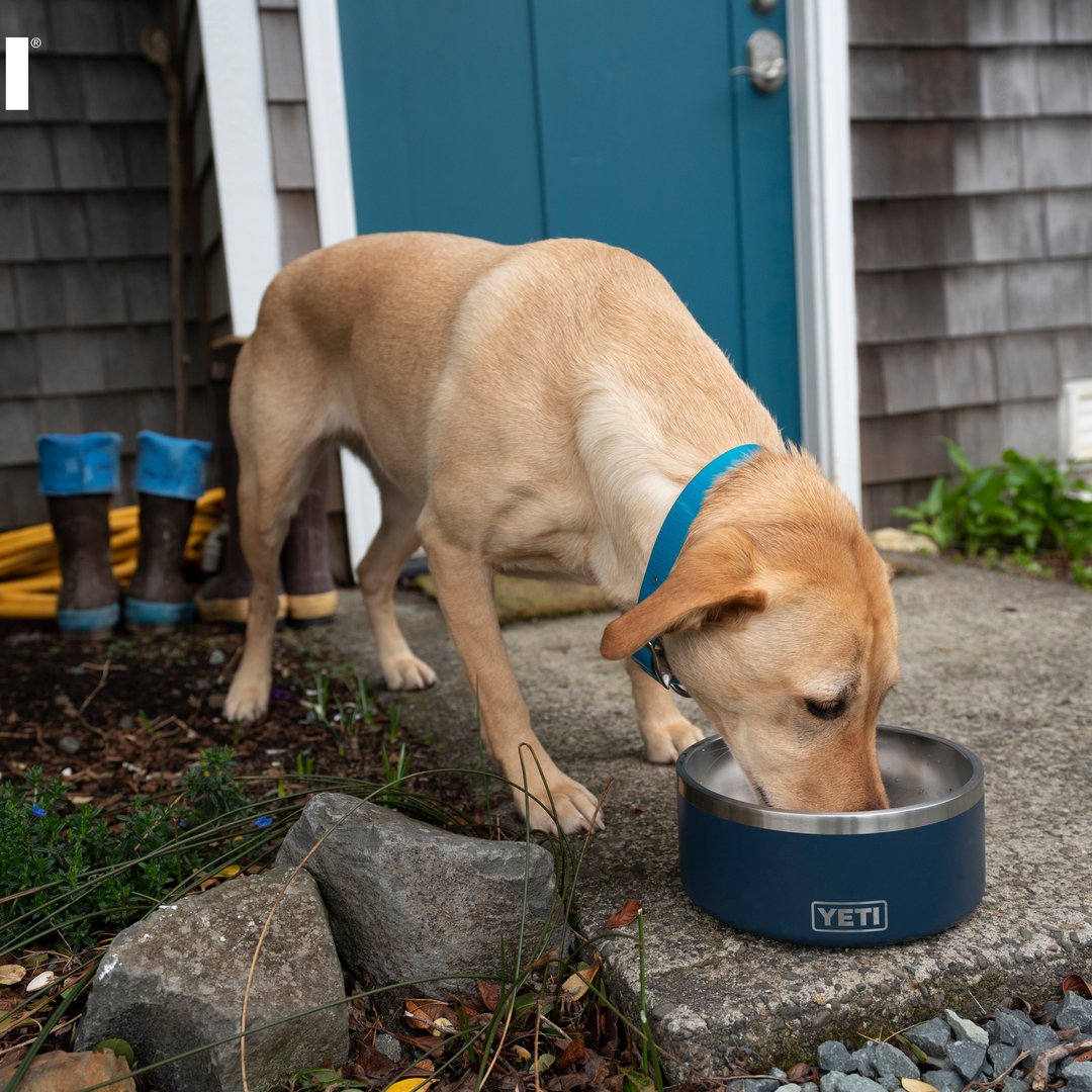 YETI® Gamelle pour chien Boomer™ 8 Seafoam