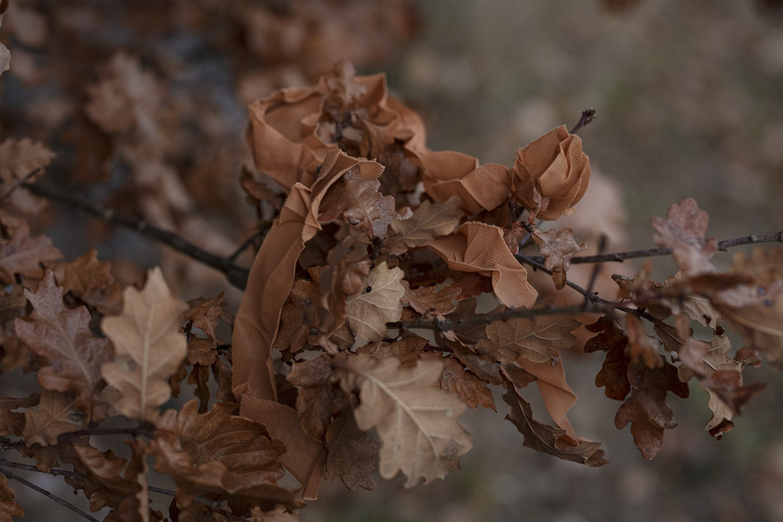 Ghosthood Strip-Solid