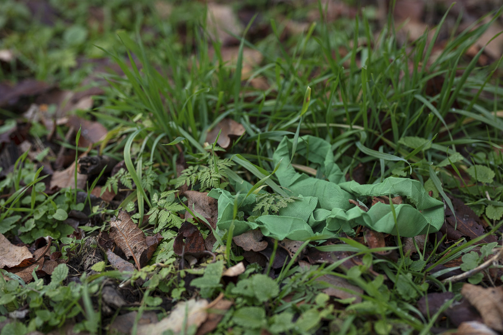 Ghosthood Strip-Solid